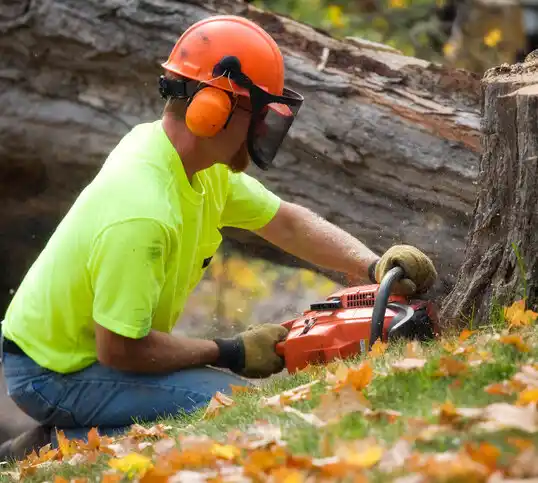 tree services Sarepta